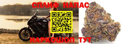 ECSTASY Кунгур