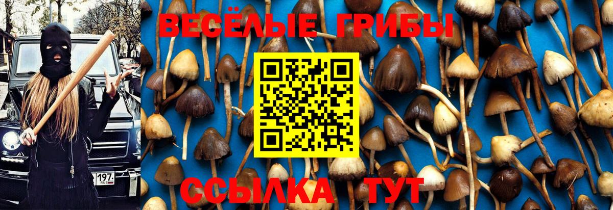 Янаул  Галлюциногенные грибы MAGIC MUSHROOMS  Вход с VPN  Галлюциногенные грибы Psilocybine cubensis 