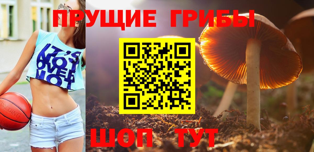 Галлюциногенные грибы GOLDEN TEACHER Янаул